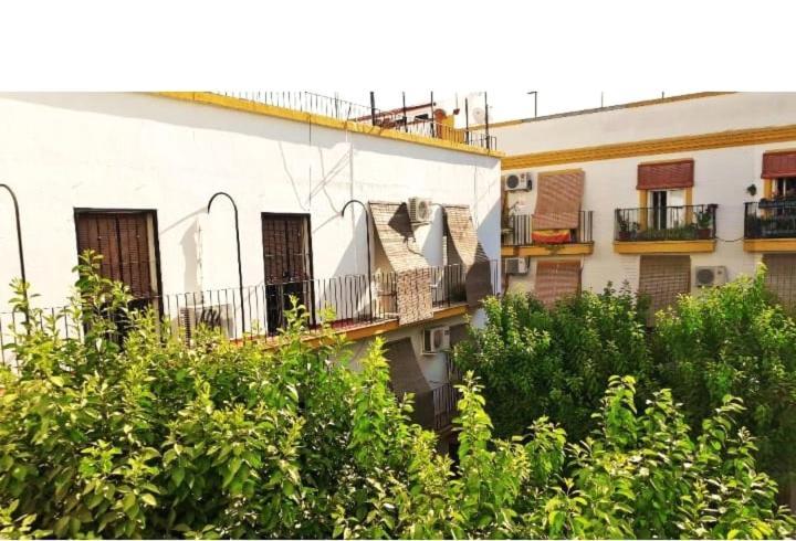 Roberta'S Guest House Sevilla Dış mekan fotoğraf