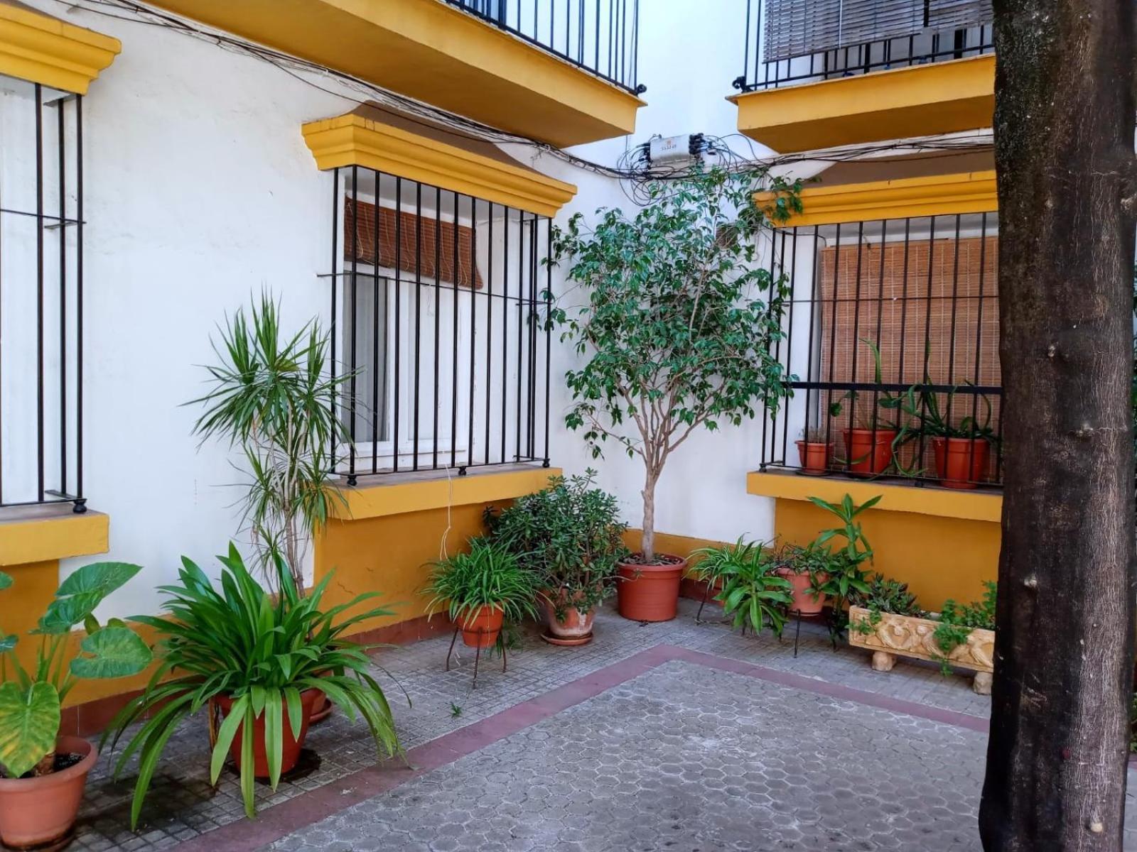 Roberta'S Guest House Sevilla Dış mekan fotoğraf